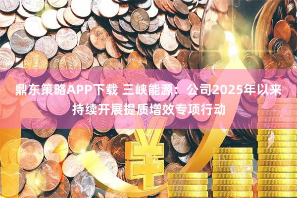 鼎东策略APP下载 三峡能源：公司2025年以来持续开展提质增效专项行动