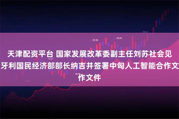 天津配资平台 国家发展改革委副主任刘苏社会见匈牙利国民经济部部长纳吉并签署中匈人工智能合作文件